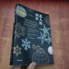 迷人的图形 英伊恩·斯图尔特 著  