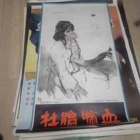 【杜鹃啼血】(1984)——电影院库存全开(一开)电影海报，彩色遮幅式故事片《杜鹃啼血》 导演张凤翔，主演萨仁高娃，张毅等——更多藏品请进店选购选拍！D23--39