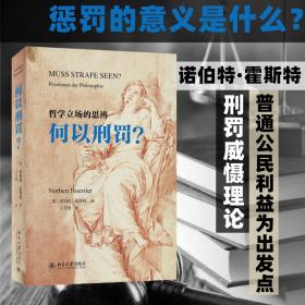 何以刑罚? 法学理论 (德)诺伯特·霍斯特 新华正版