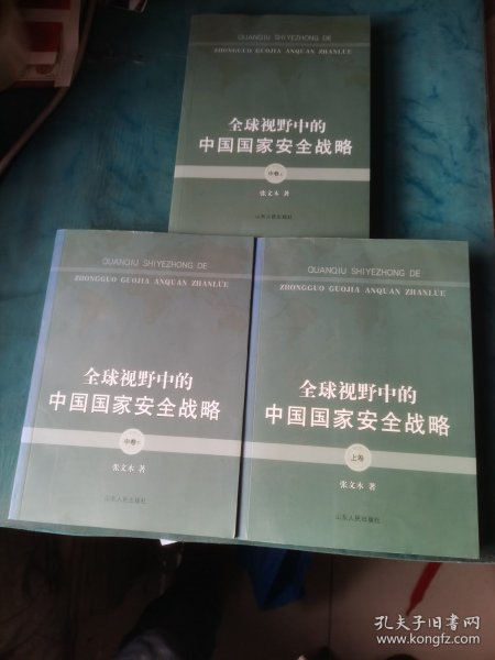 全球视野中的中国国家安全战略（上卷 中卷上下）3本