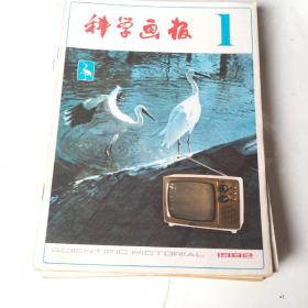 科学画报：1982年1一10期共10册