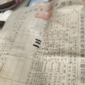 8张1951年山东土地房产证如图