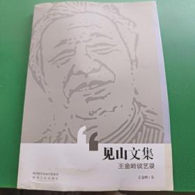 见山文集:王金岭谈艺录