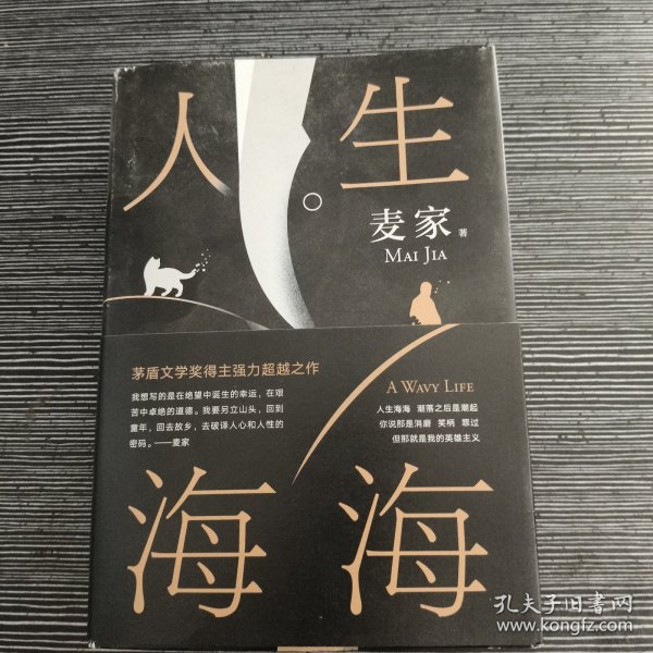 麦家：人生海海（茅盾文学奖得主麦家2019年强力之作）