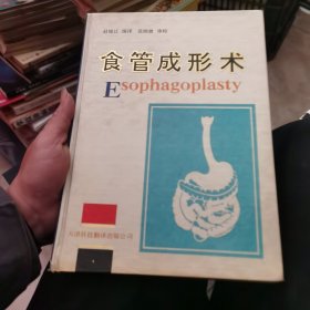 食管成形术