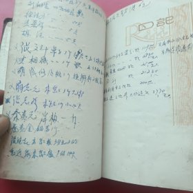 静物日记本（1961年一1973年农村生产队记事本）精装