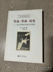 鲁迅·革命·历史：丸山升现代中国文学论集