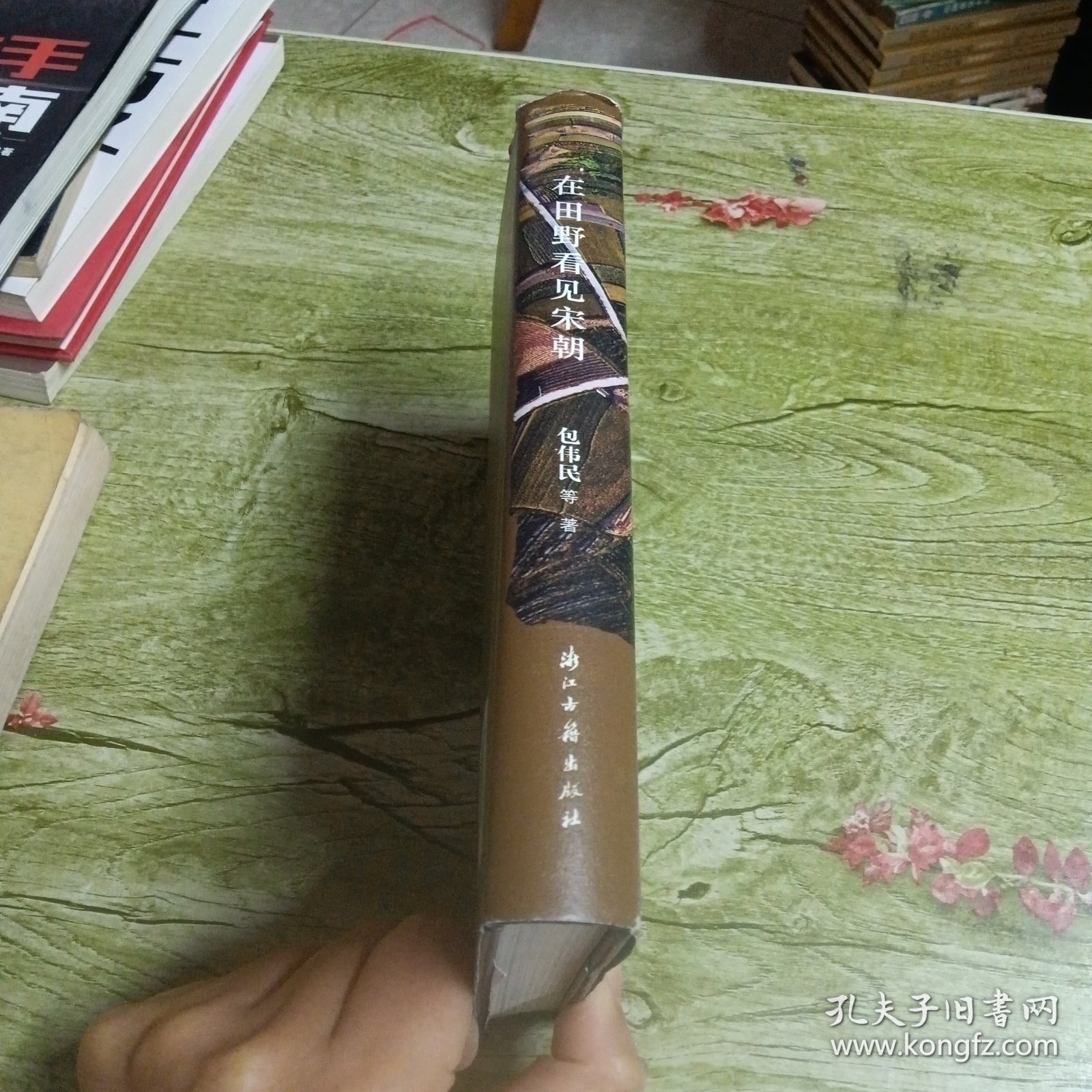 在田野看见宋朝