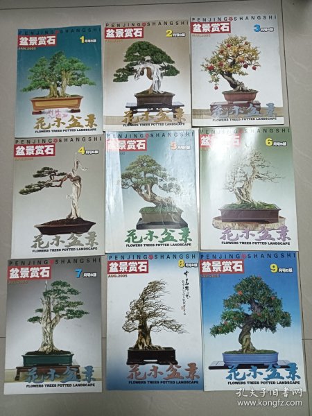 花木盆景，2005年第1-9期，9本合售