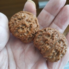 小白狮子文玩核桃一对