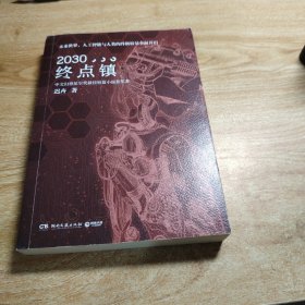 2030终点镇