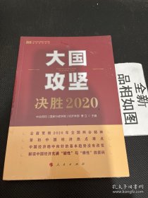 大国攻坚：决胜2020（中央党校（国家行政学院）智库系列丛书）