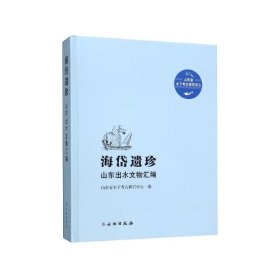 海岱遗珍(山东出水文物汇编)(精) 9787501062713