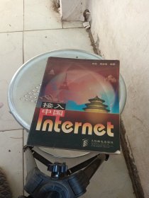 接入中国Internet