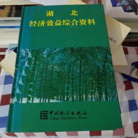 湖北经济效益综合资料