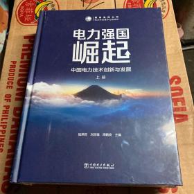 电力强国崛起——中国电力技术创新与发展