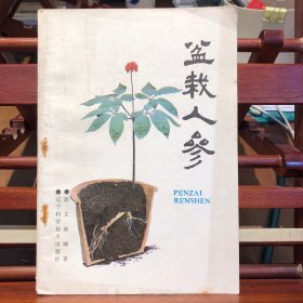 盆栽人参