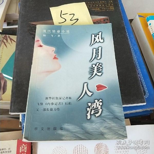 风月美人湾:现代情感小说