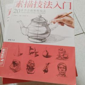 正统素描技法入门/经典全集系列丛书