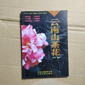 云南山茶花