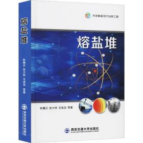 熔盐堆 能源科学 秋穗正 等 新华正版