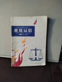 少年自然科学丛书 燃烧以后