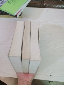 中国哲学史新编（下）