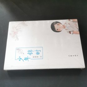 少年锦时
