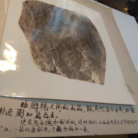 六十年代照片一张 石器 无锡师范（历史研究组）宣传展览39X34厘米（内29X25厘米）九五品A医上区