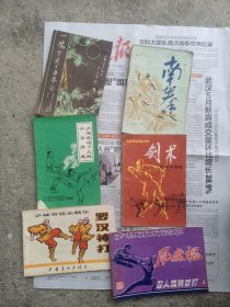 一路青龙岀海拳谱+南拳棍钯刀+少林金鸡十三腿十路弹腿+剑术附棍术图解+罗汉神打+风魔棍双人攻阶对打1一共六本合售