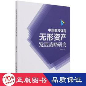 中国竞技体育无形资产发展战略研究