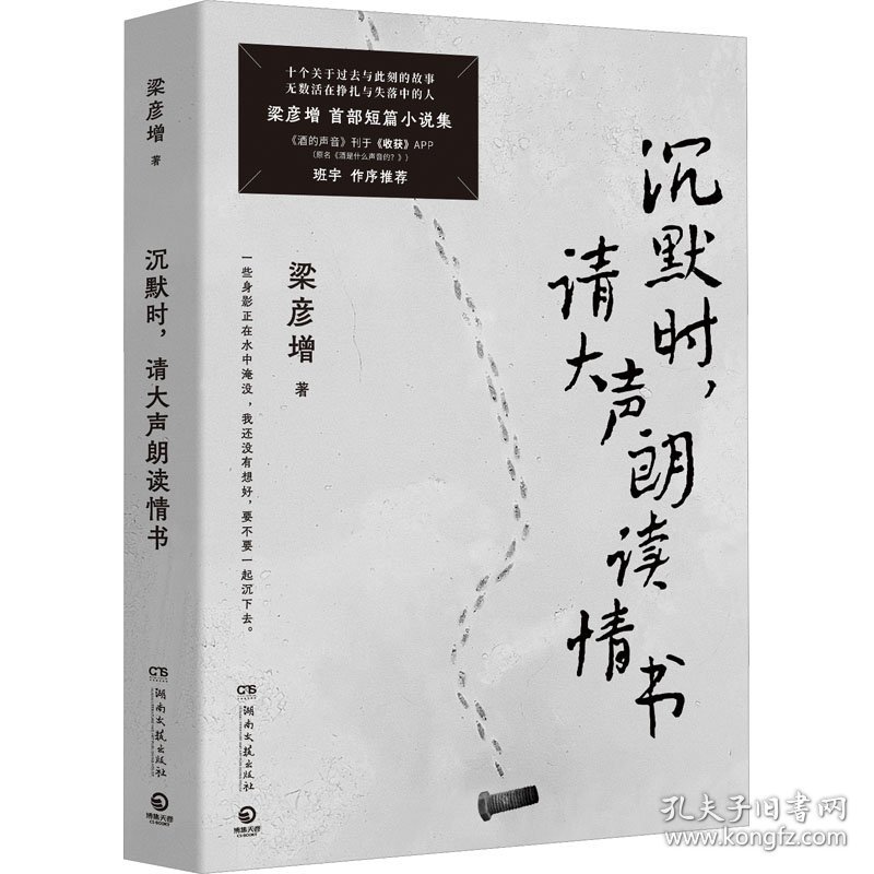 沉默时,请大声朗读情书  中国现当代文学 梁彦增 新华正版