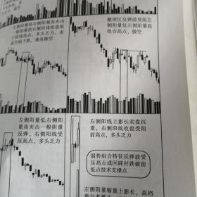 日本蜡烛图与成交量实战图谱（第二版）