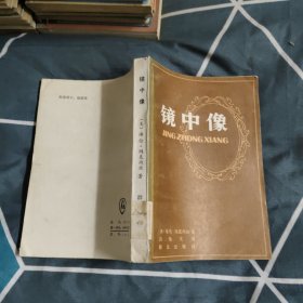 镜中像，7元包邮，