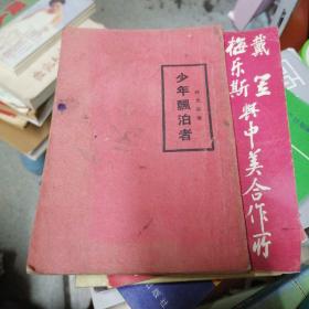 少年飘泊者（民国新文学，蒋光赤著，早期革命文学代表作，上海亚东图书馆1929年4月八版本）