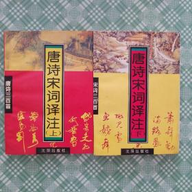 唐诗宋词译注(上、下）