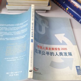 中國人類發(fā)展報告2005