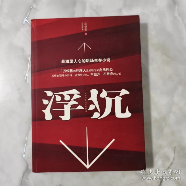 浮沉：最激励人心的职场生存小说