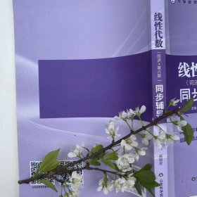 【二手正版书】线性代数同步辅导 同济大学数学系 第六版 张天德 线代同济六版辅导书第6版辅导和习题解答详解课后练习题答案 9787533157241