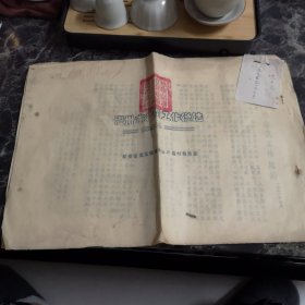 1951年温州市毒鼠工作总结