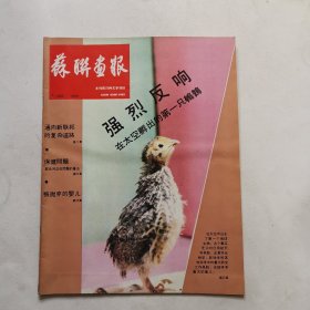 苏联画报 1990 7