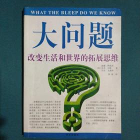 大问题──改变生活和世界的拓展思维：改变生活和世界的拓展思维