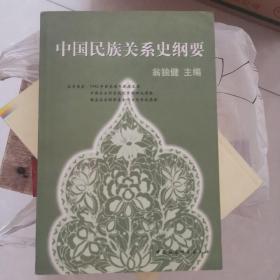 中国民族关系史纲要（881页）
