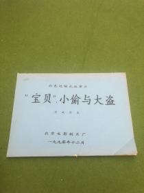 宝贝小偷与大盗电影，剧情片大陆1991年，主演：石国庆 王音 石兰 葛志兴 王青山 ，导演：陈国军