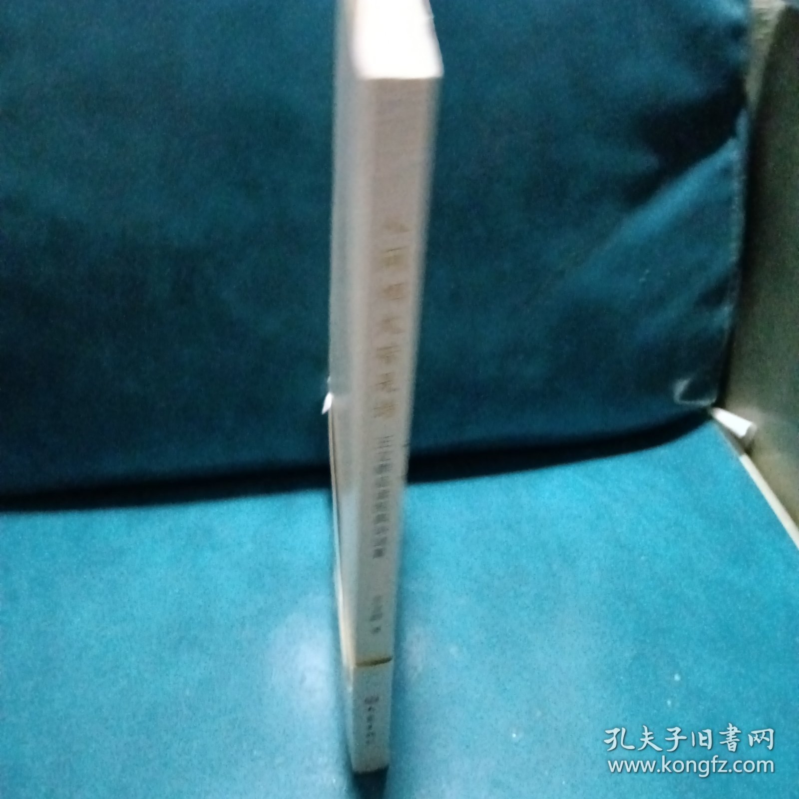 人间烟火皆是诗：王立群品读经典诗词Ⅲ
