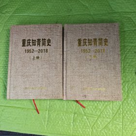 重庆知青简史 1952一2018 初稿（上下册）