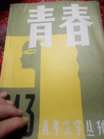 青春  青年文学丛刊  1984年第3期总5期，（此书系私人藏书，内页干净整洁）