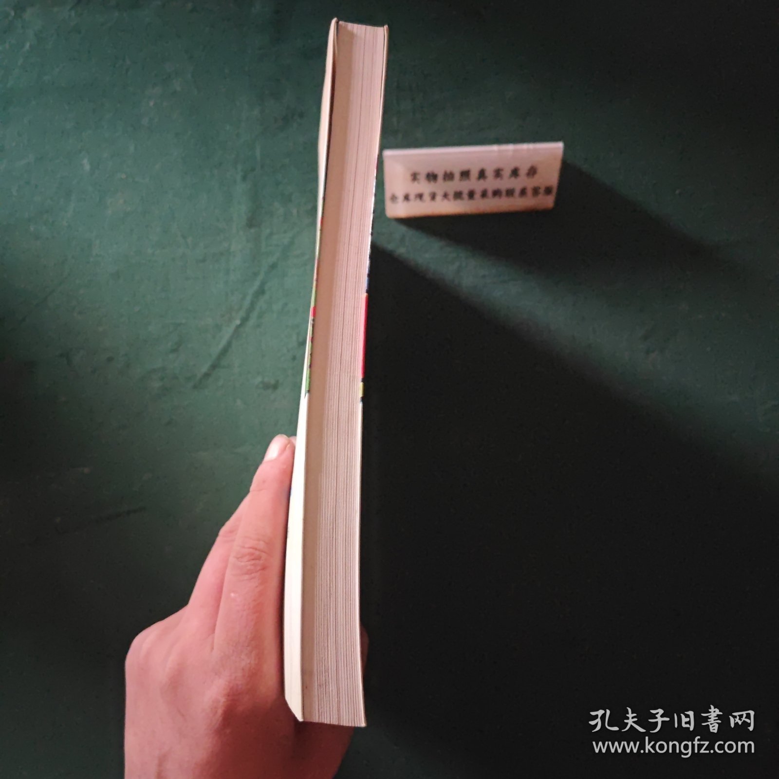 儿童与儿童发展第2版上册