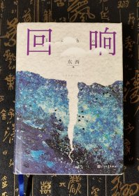 回响 内页干净无字迹