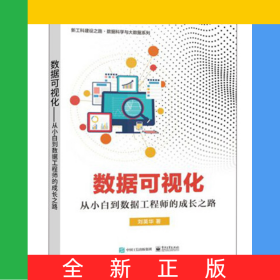 数据可视化――从小白到数据工程师的成长之路